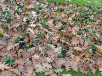 P1230333.webp