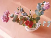 P1011891.webp P1011891.webp