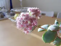 P1011892.webp P1011892.webp