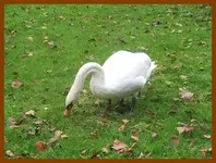 049.webp
