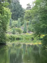 planten un bloomen 014.webp
