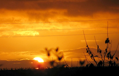 sonnenaufgang_08.11.14.webp