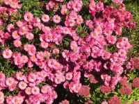 BILD3514.webp