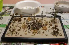 2014_11_08-traeger_final-1.webp