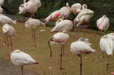 3009.webp