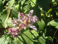 001_1024x768.webp