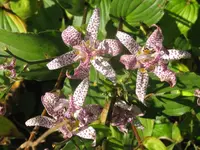 002_1024x768.webp