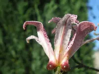 010_1024x768.webp