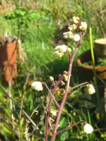 006_576x768.webp