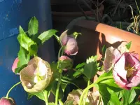 004_1024x768.webp