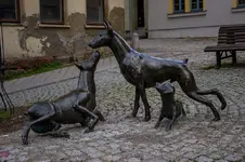 4112.webp