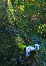 Kaffee.webp