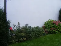 DSCF3287.webp