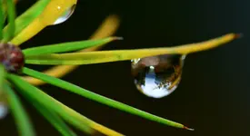 tropfen.webp