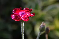 DSC_1852_26267.webp