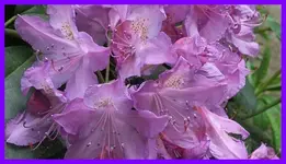 044.webp