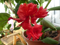 P1230520.webp