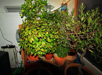 rechte Seite WiKa_700.webp