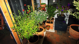 linke Seite WiKa_700.webp