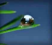 tropfen5.webp
