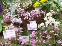100_0100.webp