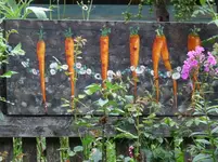 P1080398 - Kopie.webp