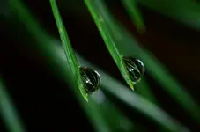 DSC_0118.webp