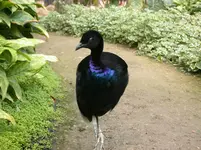 DSCN1816.webp