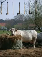 DSCN1670.webp