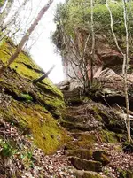 Treppe zum Himmel - Herbstrose.webp