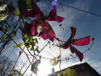 P1230540.webp
