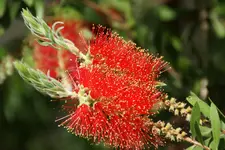 rot_3_7_DSC04557.webp