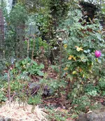 IMG_3670-001.webp