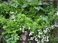 IMG_3633.webp