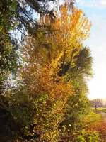 K800_DSCF5654.webp