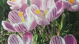 014.webp