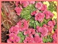 023.webp