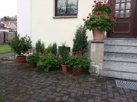 2014-11-11 11.59.22.webp