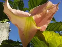 BILD3558.webp