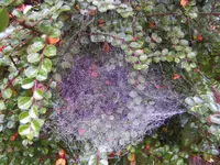BILD3554.webp