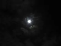 Copy of IMG_9623v.webp