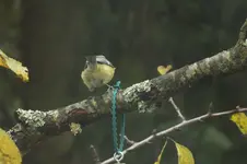DSCF8990.webp