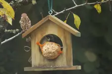 DSCF8997.webp