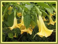 191.webp