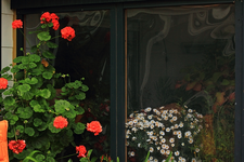 Hochstamm_Geranie_rot_Margeritenbäumchen_weiss_700.webp