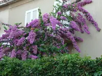 P1080580.webp