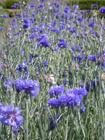 DSCN6839.webp