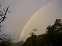 Regenbogen..doppelt v.webp