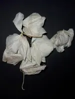 white (4).webp