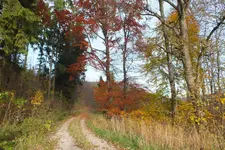 DSCF9060.webp